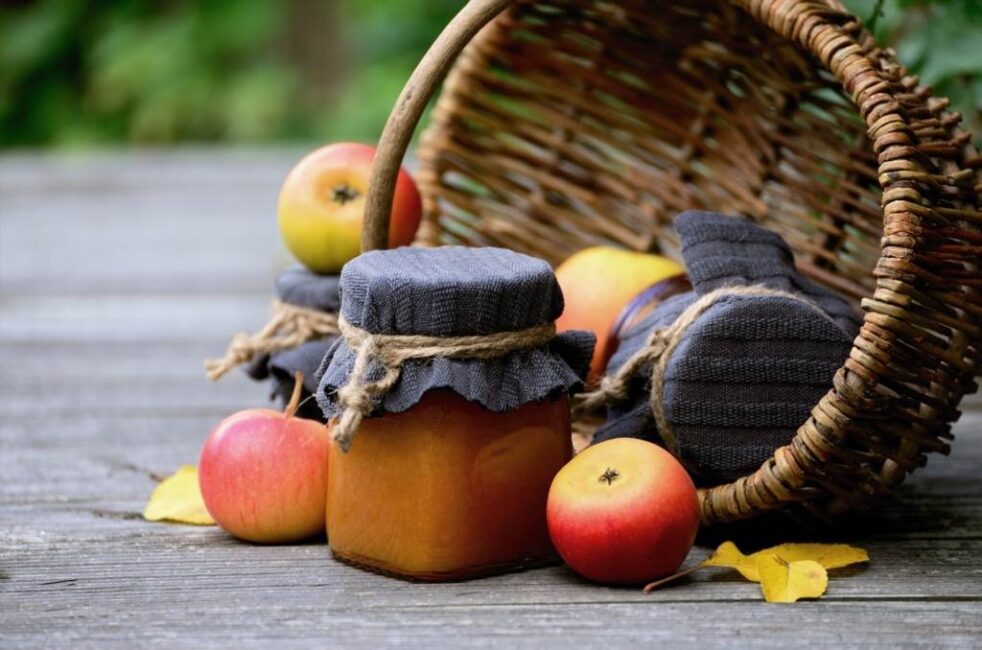 Wpływ dodatków na czas tężenia galaretki